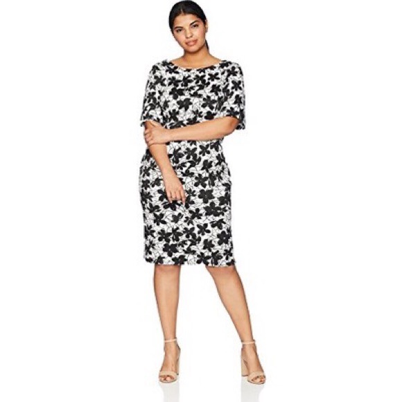 NWT Calvin Klein Black & White Floral Sheath - Picture 4 of 5